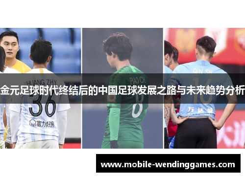 金元足球时代终结后的中国足球发展之路与未来趋势分析