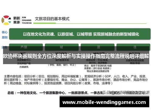 欧协杯决赛规则全方位深度解析与实操操作指南完整流程说明详细解
