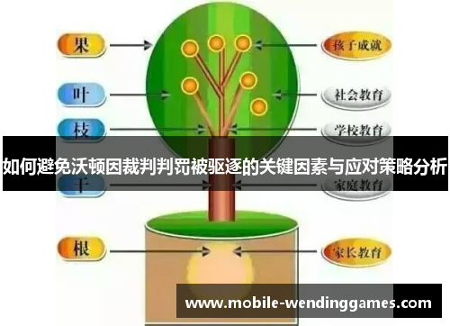 如何避免沃顿因裁判判罚被驱逐的关键因素与应对策略分析